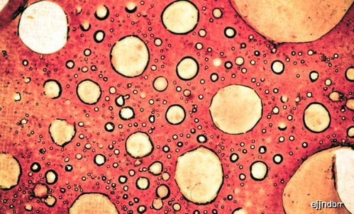 南通肿瘤医院在哪里(南通肿瘤医院怎么样网上挂号) 南通肿瘤医院在哪里(南通肿瘤医院怎么样网上挂号)