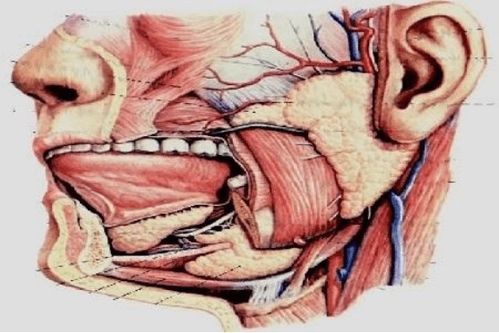 长沙市第三医院乳腺肿瘤 长沙市第三医院乳腺肿瘤