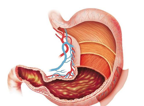 脑肿瘤起因和什么有关联 脑肿瘤起因和什么有关联