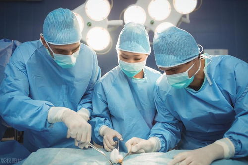 ������4��ת�� ��Ϊ������ת�Ƴ�����ת�����ļ���