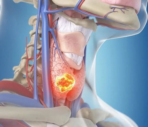 ���żҲ˵�_���żҲ˵�����Ŀ��2023