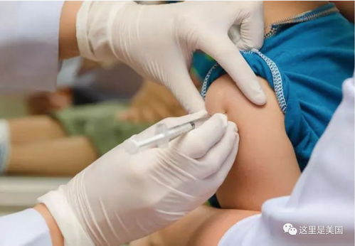 胃肿瘤呕吐怎么处理好 胃肿瘤呕吐怎么处理好