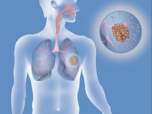 ׵������������������