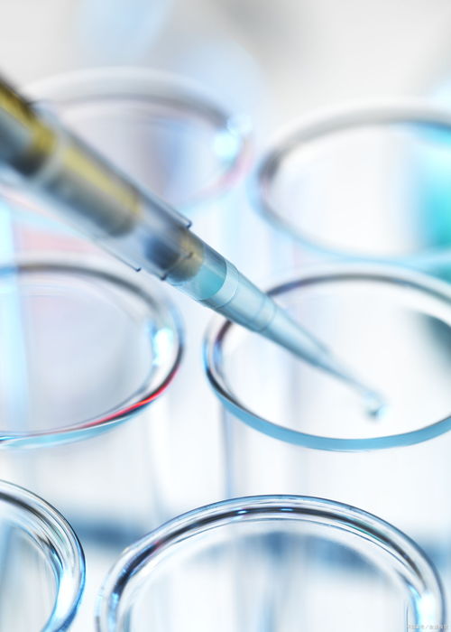 开心宝贝之开心大冒险 开心宝贝之开心大冒险