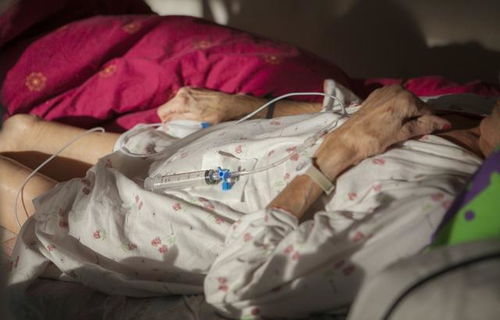 ������������Ҫ�Ǽ��ʲô