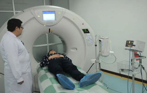 ���������Ϲ���������