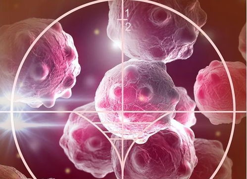 癌肿瘤转移十二指肠 癌肿瘤转移十二指肠