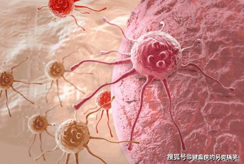 ���绪�������ɷ���˭