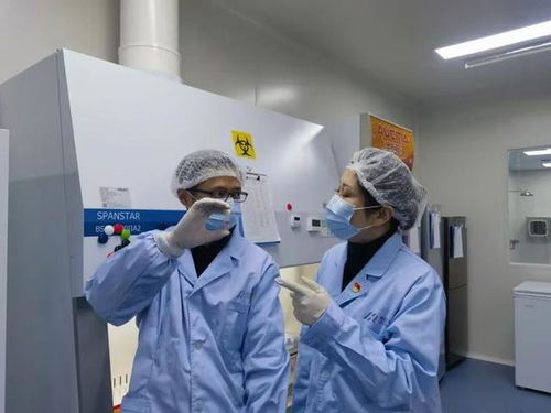 ��·��Ⱦ������������