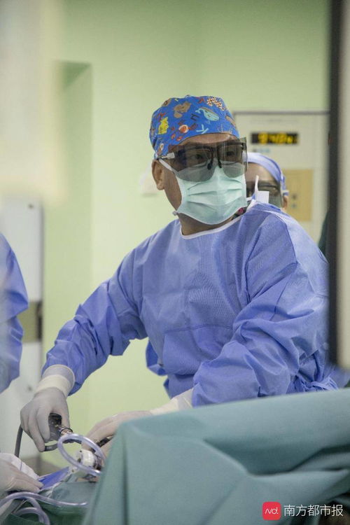 ����������θ����������