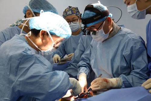 ������������ʲô������