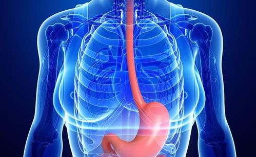 阿雅老公资料 阿雅老公身价多少 阿雅老公资料 阿雅老公身价多少