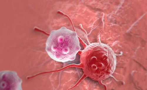 ������ȫ�����׼Ӣ��