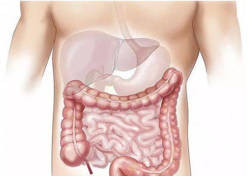 ����������������� �Բ���������