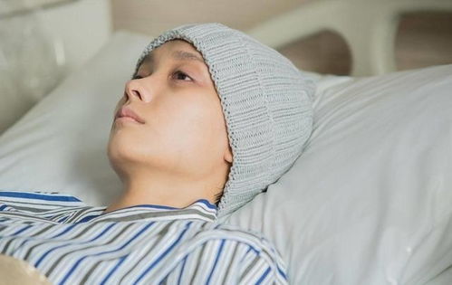 范明朱锐主演的电视剧 范明朱锐主演的电视剧