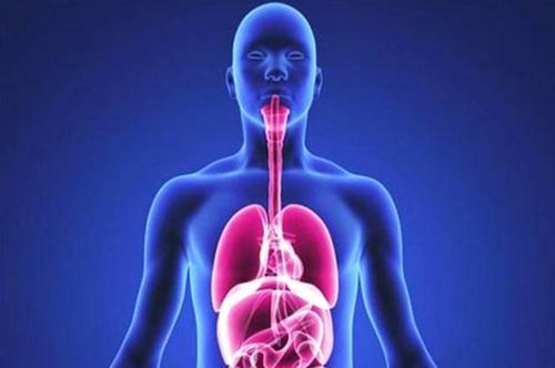 胸腺瘤查什么肿瘤标记物 胸腺瘤查什么肿瘤标记物