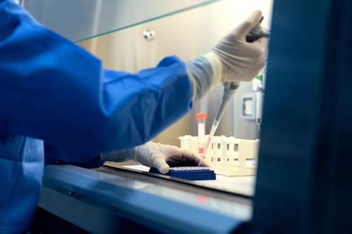 天津肿瘤医院陈旭升 天津肿瘤医院的王旭东 天津肿瘤医院陈旭升 天津肿瘤医院的王旭东