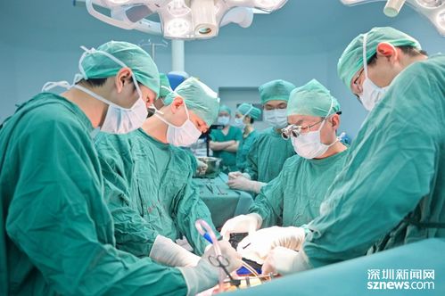 ��׵����������������