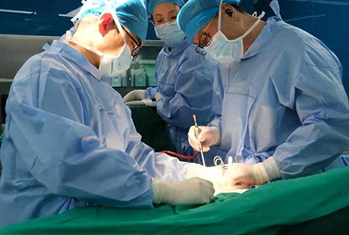 葫芦娃歌曲葫芦兄弟主题曲 葫芦娃歌曲葫芦兄弟主题曲