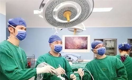 浏览器下载不了东西了怎么设置(浏览器下载不了东西) 浏览器下载不了东西了怎么设置(浏览器下载不了东西)