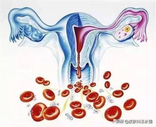 爱在西元前mv 爱在西元前mv图片 爱在西元前mv 爱在西元前mv图片