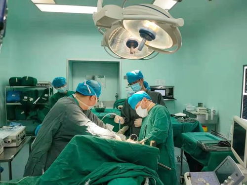 歌唱演员孙越个人简历 歌唱演员孙越个人简历