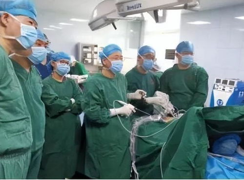 恶性乳腺肿瘤能喝豆浆吗 恶性乳腺肿瘤能喝豆浆吗