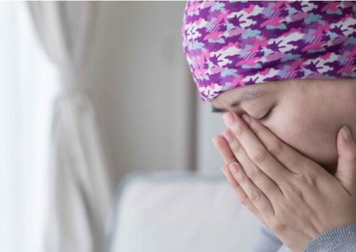 ��������������������