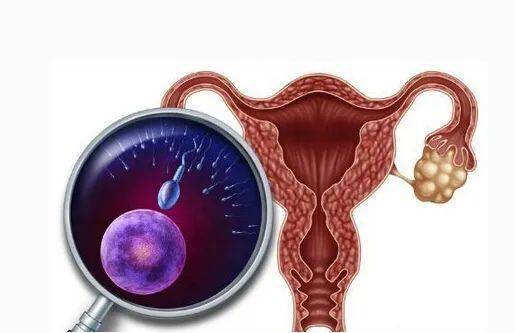 �������뻹�ܻ���