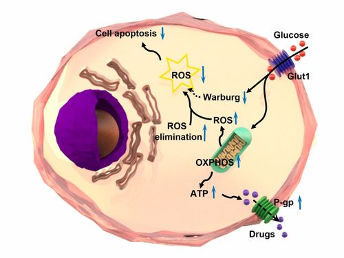 �ΰ�������������������