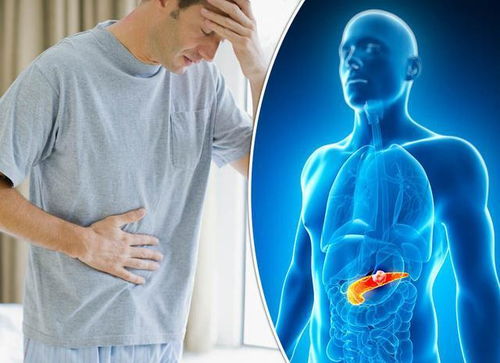 81��ũ�� 81��ũ��֮��������