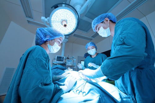 ���������̻��Ʒ��ø���