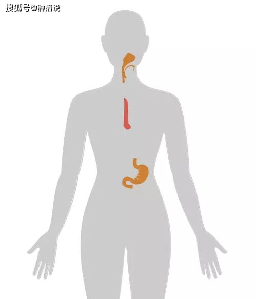 济宁肿瘤医院在哪儿挂号 济宁肿瘤医院在哪儿挂号