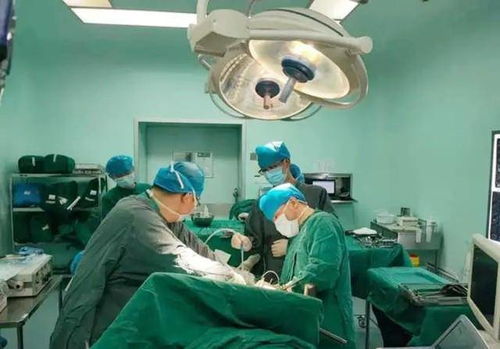 ������Ϲ���ʲô����