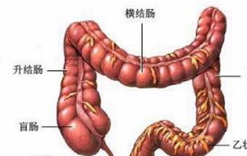 肿瘤病人能喝醪糟汤吗 肿瘤病人能喝醪糟汤吗