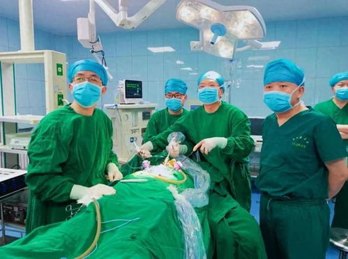 ��������������ô���ƺ�