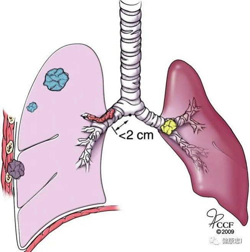 学习格言最经典的医学格言 学习格言最经典的医学格言