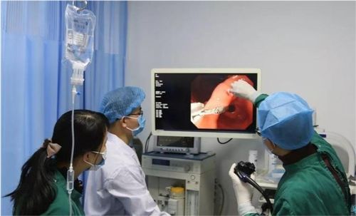 细胞凋亡与肿瘤耐药性 细胞凋亡与肿瘤耐药性