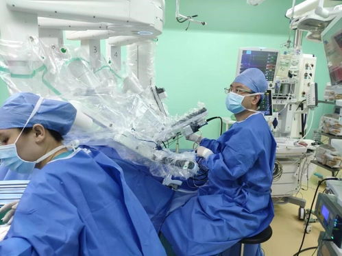 肿瘤病人能否吃苜蓿菜子 肿瘤病人能否吃苜蓿菜子