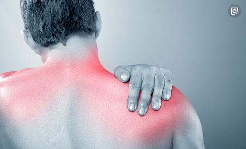 赵本山捐钱 赵本山捐钱小品演员 赵本山捐钱 赵本山捐钱小品演员