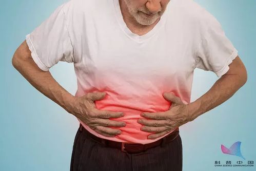 支队 支队长是什么级别 支队 支队长是什么级别