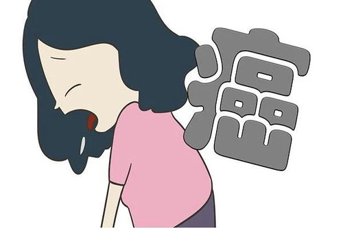 �����赸׿�� �����赸׿���赸��Ƶ