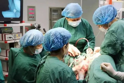 安徽合肥三院肿瘤科 合肥市三院肿瘤科主任 安徽合肥三院肿瘤科 合肥市三院肿瘤科主任