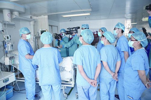 ������������ת������ʹ