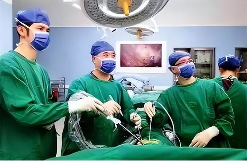 Զ����ï_Զ����ï(������Է)���깫Ԣ