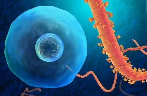 ��������ͬ������ǿ���ֽ��� �á�ǧ���ġ�����