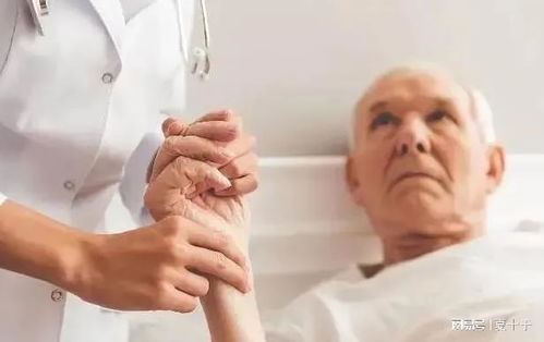 输尿管结石能引起肿瘤 输尿管结石能引起肿瘤