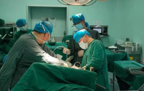 结肠恶性肿瘤分期标准是 结肠恶性肿瘤分期标准是