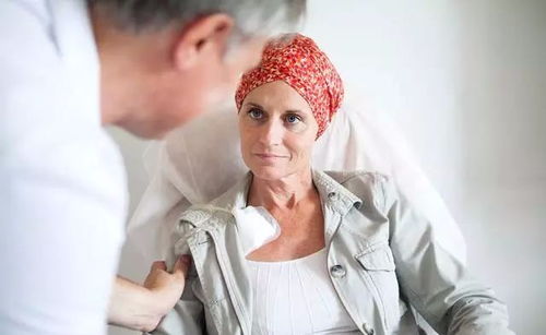 ������ϸ������������