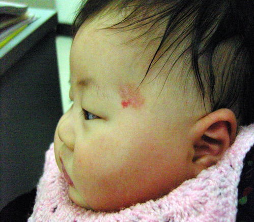 古建筑施工 古建筑施工队哪里找 古建筑施工 古建筑施工队哪里找